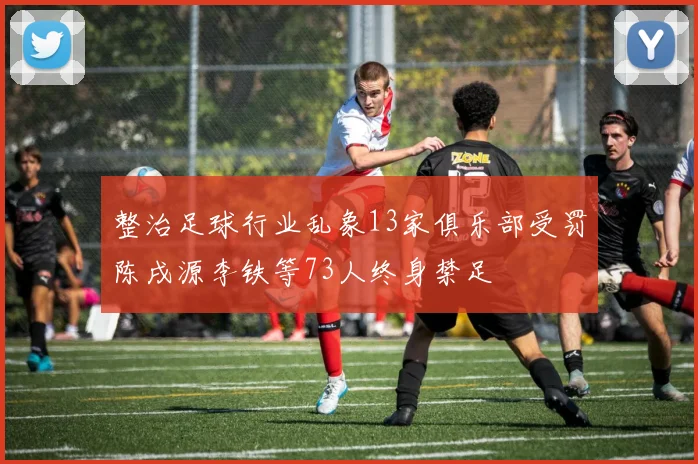整治足球行业乱象13家俱乐部受罚陈戌源李铁等73人终身禁足