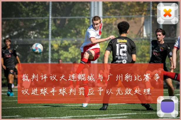 裁判评议大连鲲城与广州豹比赛争议进球手球判罚应予以无效处理