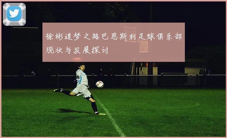 徐彬追梦之路巴恩斯利足球俱乐部现状与发展探讨