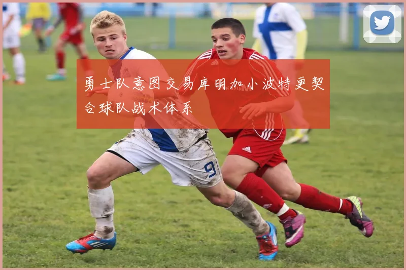 勇士队意图交易库明加小波特更契合球队战术体系