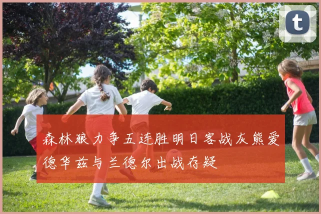 森林狼力争五连胜明日客战灰熊爱德华兹与兰德尔出战存疑