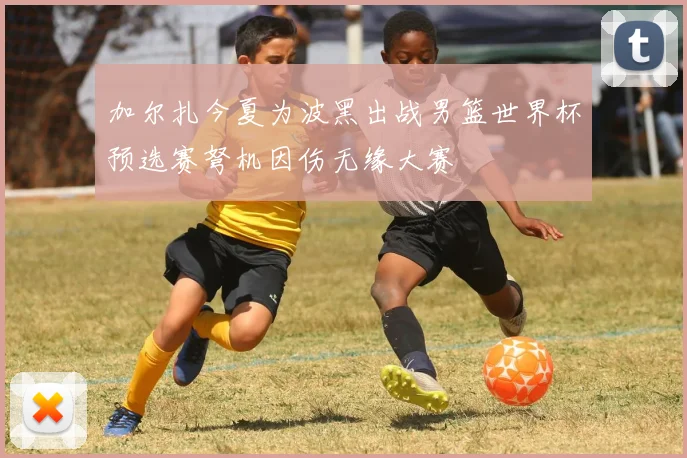 加尔扎今夏为波黑出战男篮世界杯预选赛弩机因伤无缘大赛